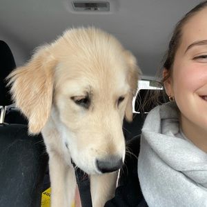 Meet your Posher, Tally